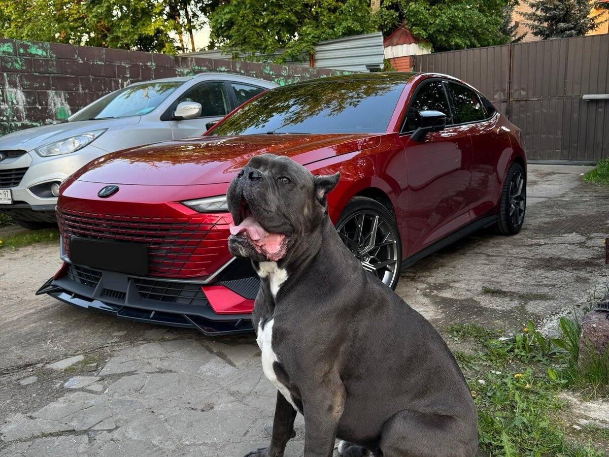 Купить Changan UNI-V, 2022, 54 036 км, фото №5