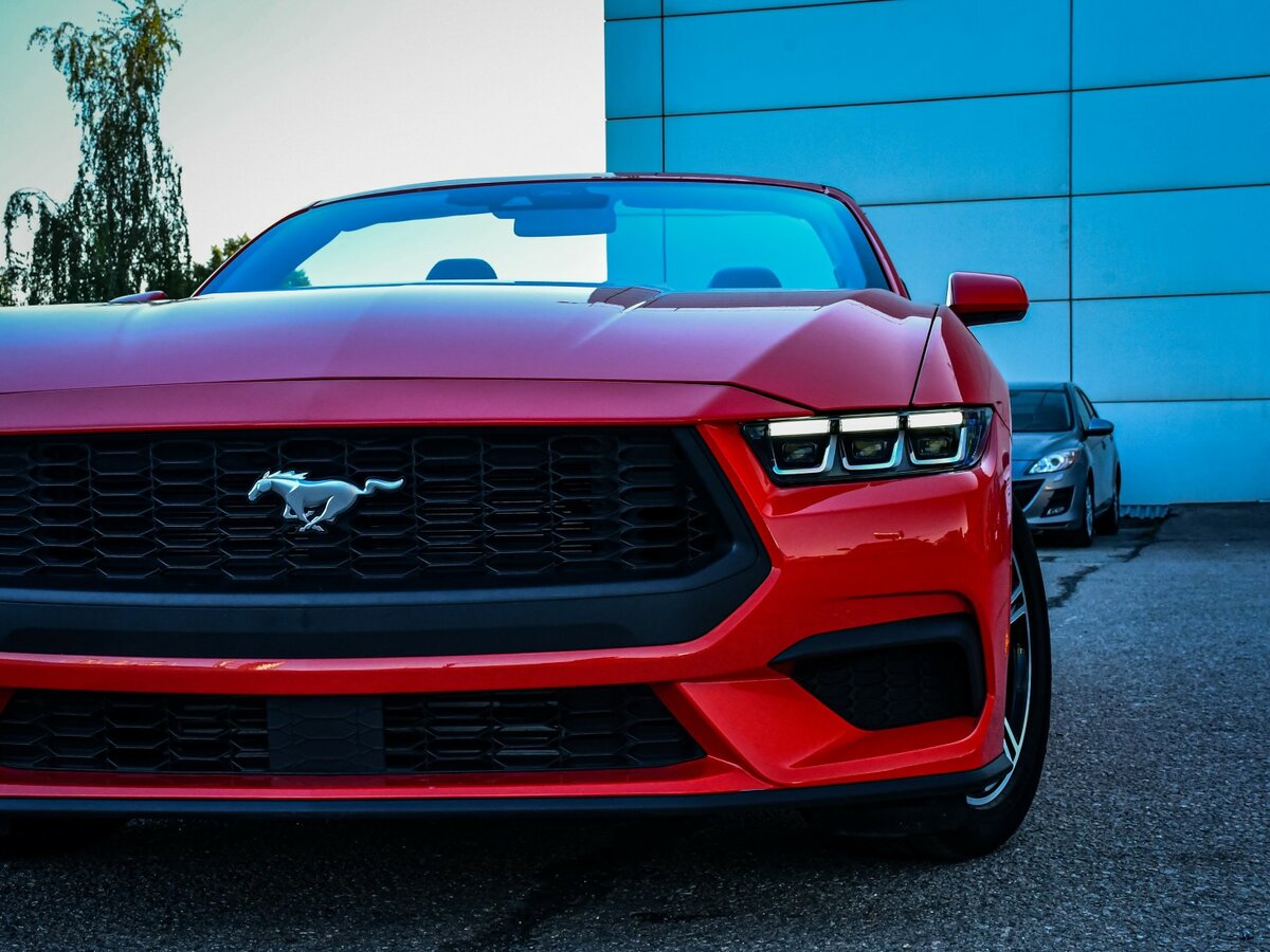 Купить Ford Mustang VII, 2024, 17 311 км, фото №23